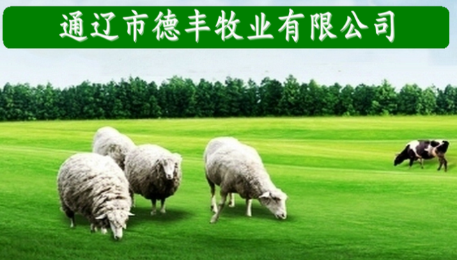 產(chǎn)品展示2